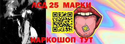 гидропоника Пушкино
