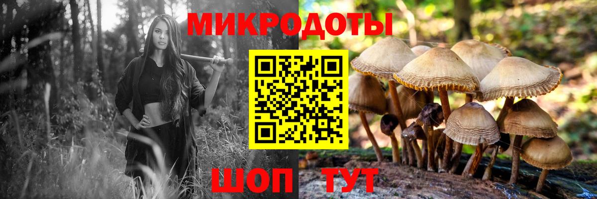 как найти закладки  Вход с VPN  Сосновый Бор  Псилоцибиновые грибы Cubensis 